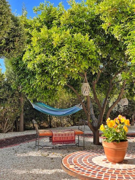 Teo Apartment Paphos Ngoại thất bức ảnh